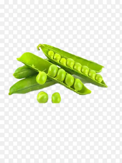 �㶹-������