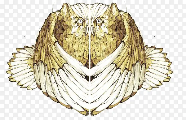 ����èͷӥ-������