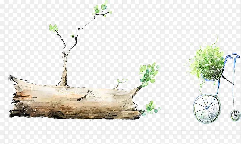 ��֦-������