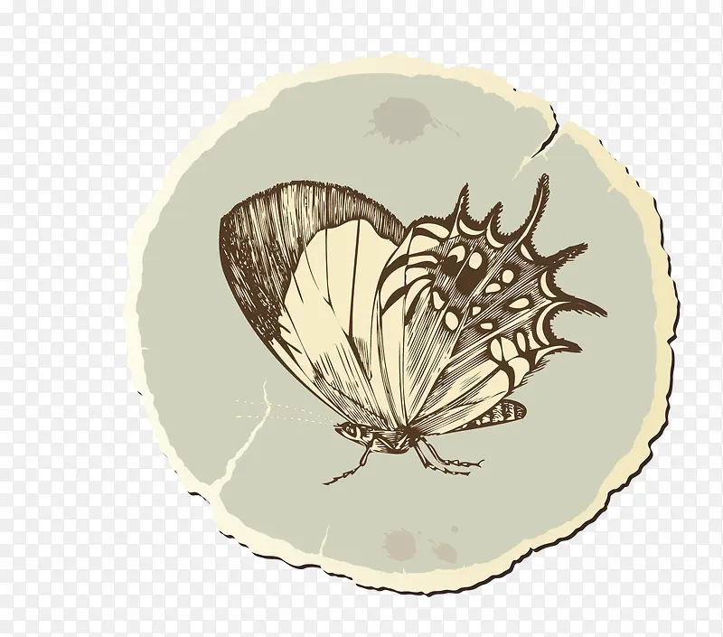 ʸ����ͨͼ����˺����ֽ��Ч��-������