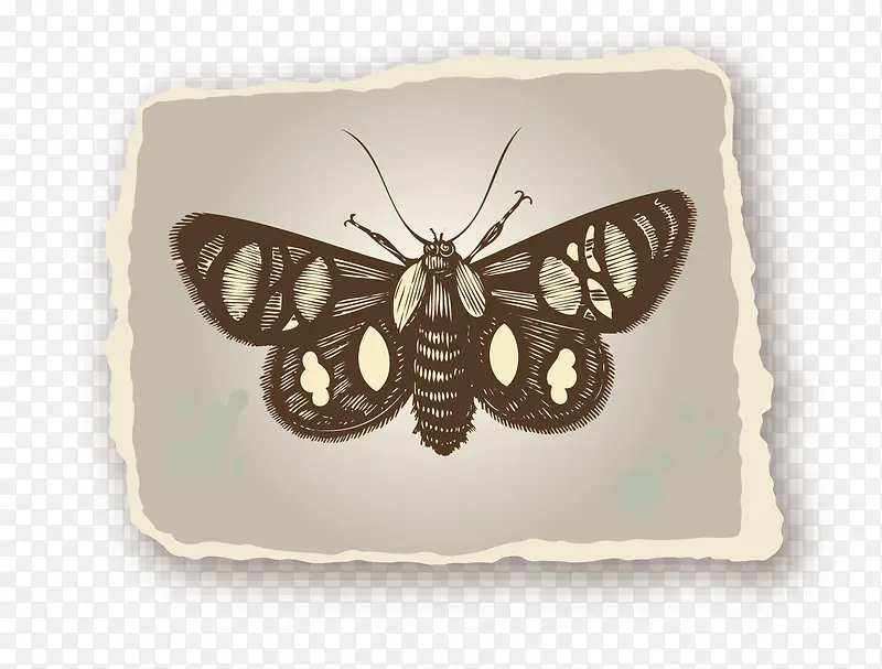 ʸ����ͨͼ������ֽ����˺Ч��-������