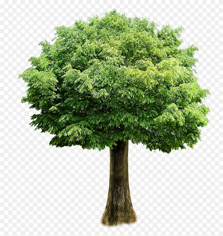 ���������������-������