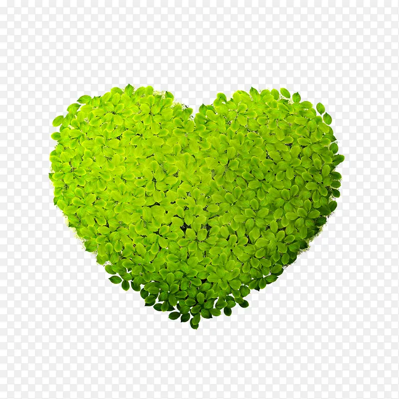 ��ɫ����-������