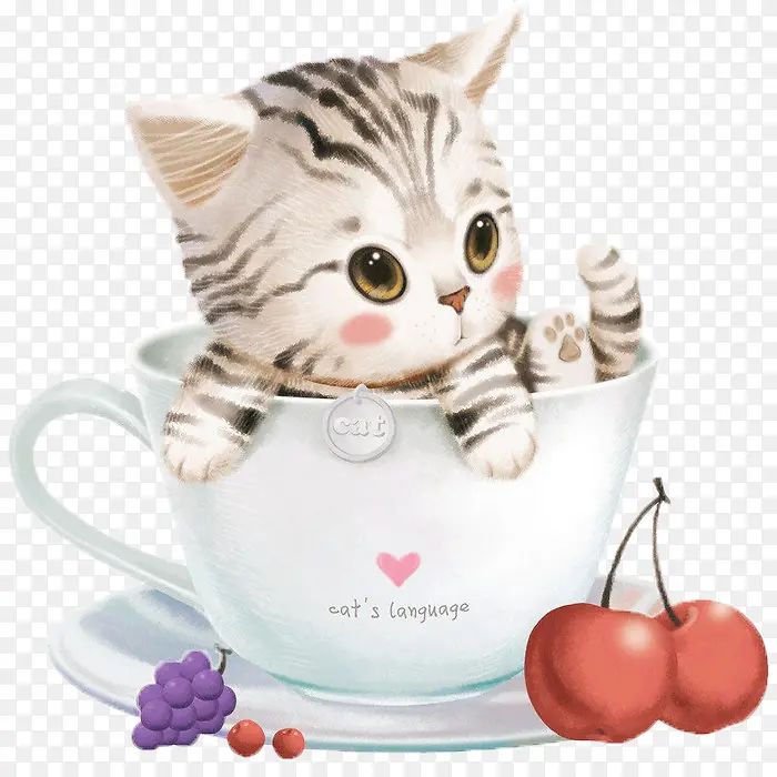 ſ�ڱ������Сè-������