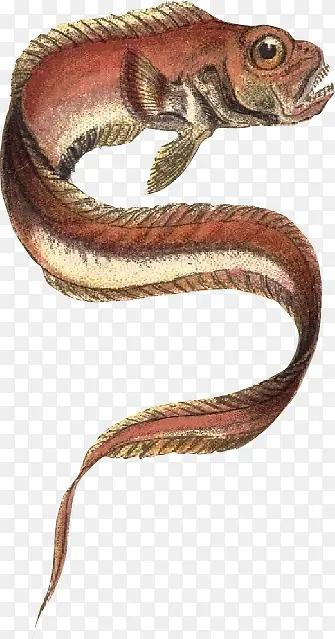 ���ϵ���廭-������