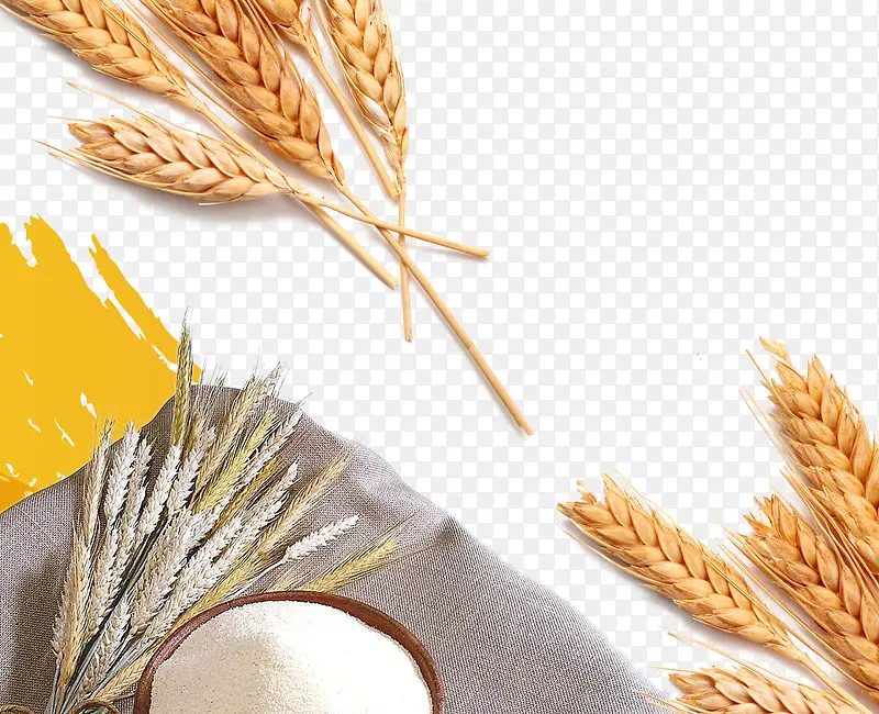 �����Ա���ͼԪ��-������