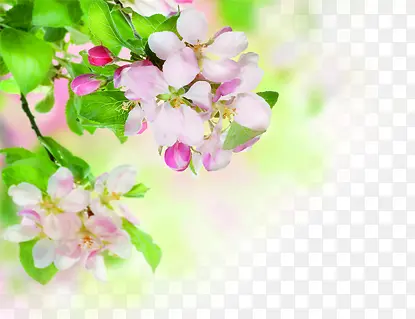 ������Ӱ��ɫ���һ�Ч��-������