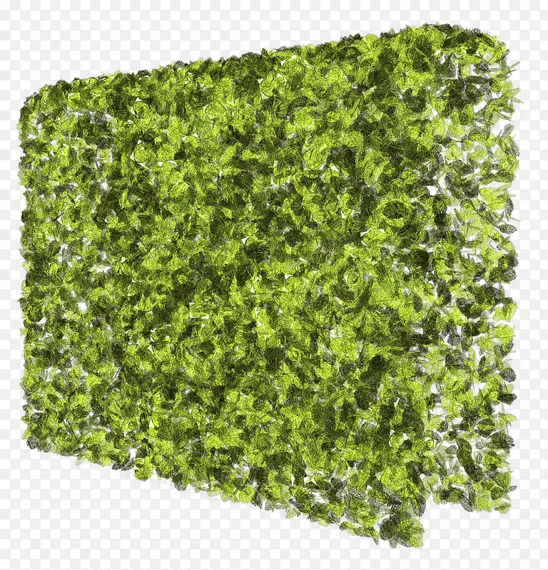 ��-������