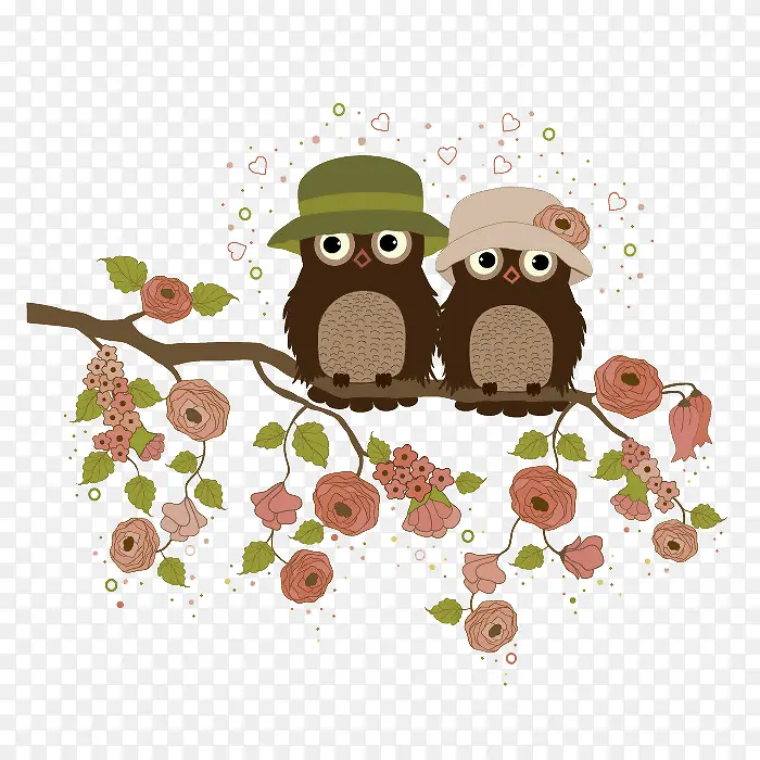 ����èͷӥ��ֻ����������-������