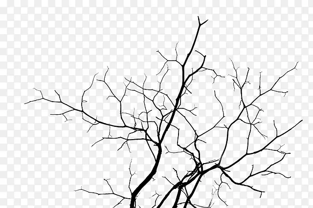 ֦�ɲ��Ƶ���֦-������