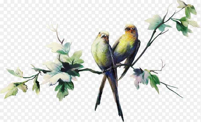 ��֦С��ͼ��-������