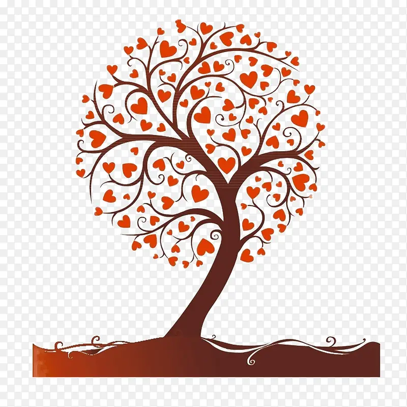 ���˽�-������