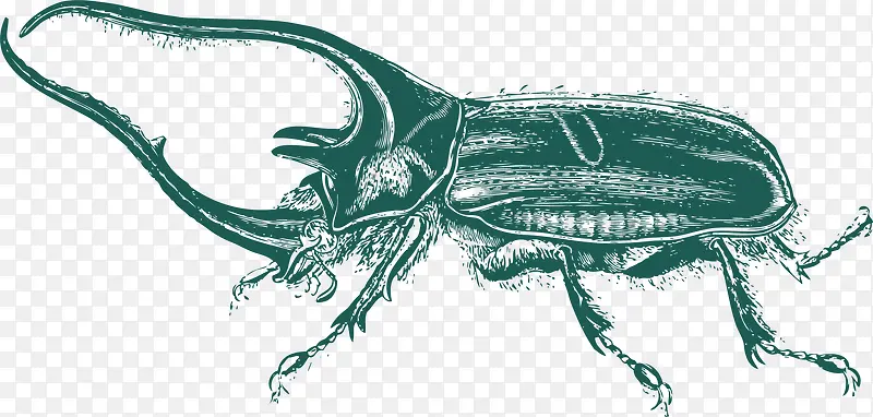 ��ǳ�ë��ţ-������