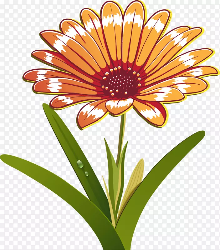 ���׷�װ�ĸ���-�ʾ�-������