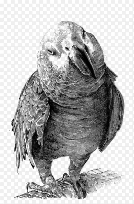 ��������-������