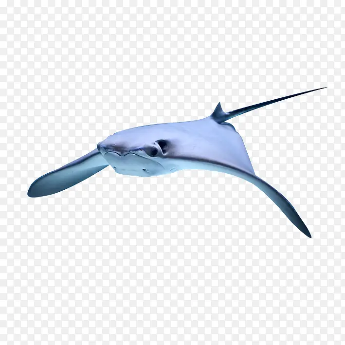 ��Ʒʵ��ħ����-������