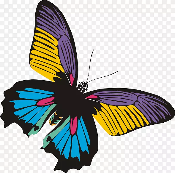 �������������-���-������