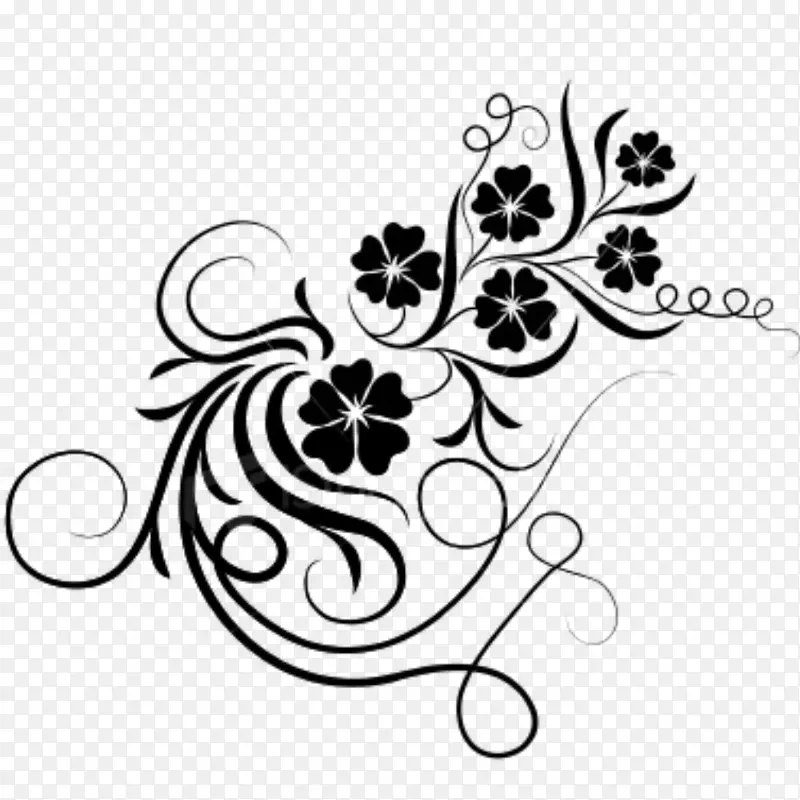 �ܳ��µ�TT��ֽ���ո���ֽ-������