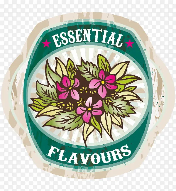 ����Ӣ�׶Գ�ʸ��-������