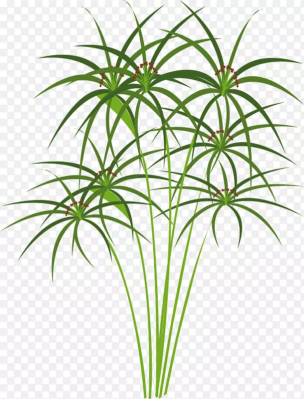 �Ű���ɯ����������-ֽɯ��-������