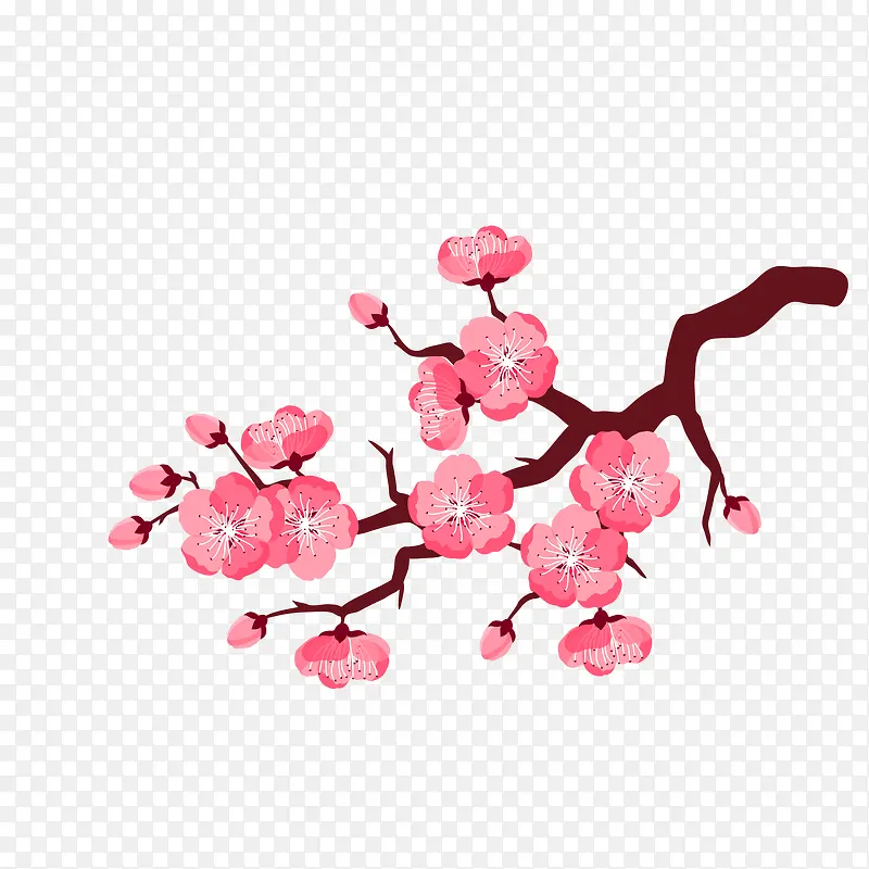 ��ɫ�һ��������-������