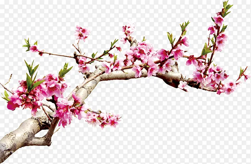 �һ���������ز�-������