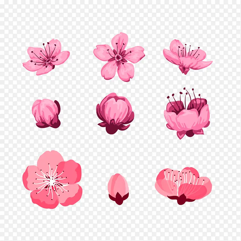 ��ɫ�һ���������-������