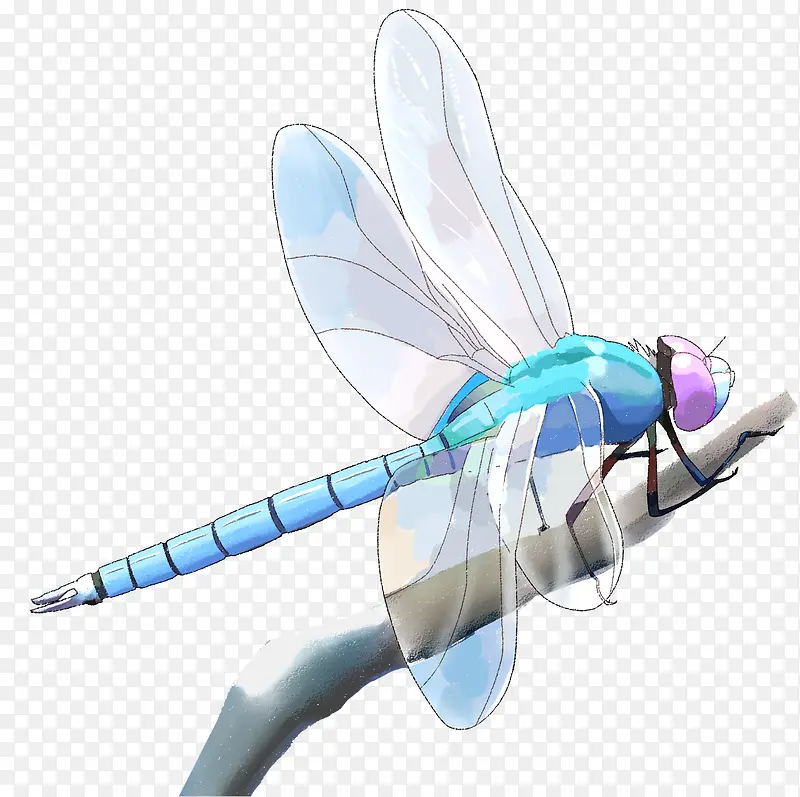 ���������������Ԫ��-������