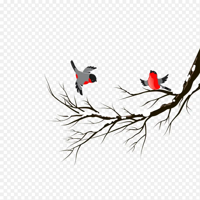 �����֦-������