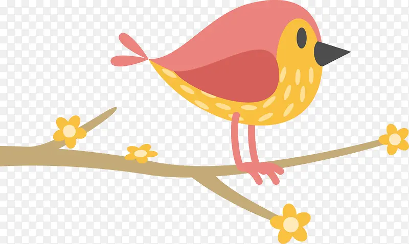 ��ͨС�����֦-������