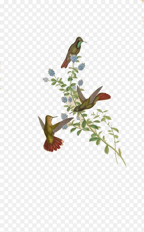 С�����֦-������