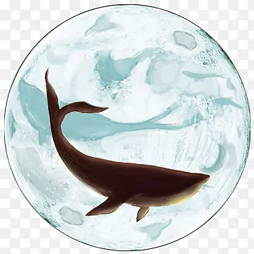 ��ͨ�ز�-������