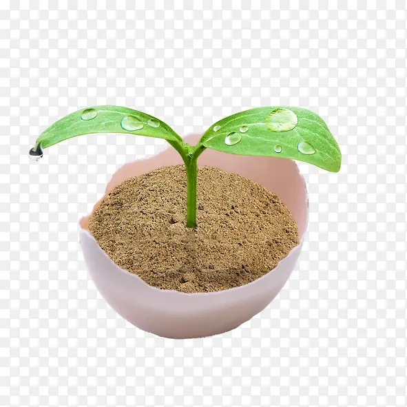 ���⼦����  ��Ҷ-������