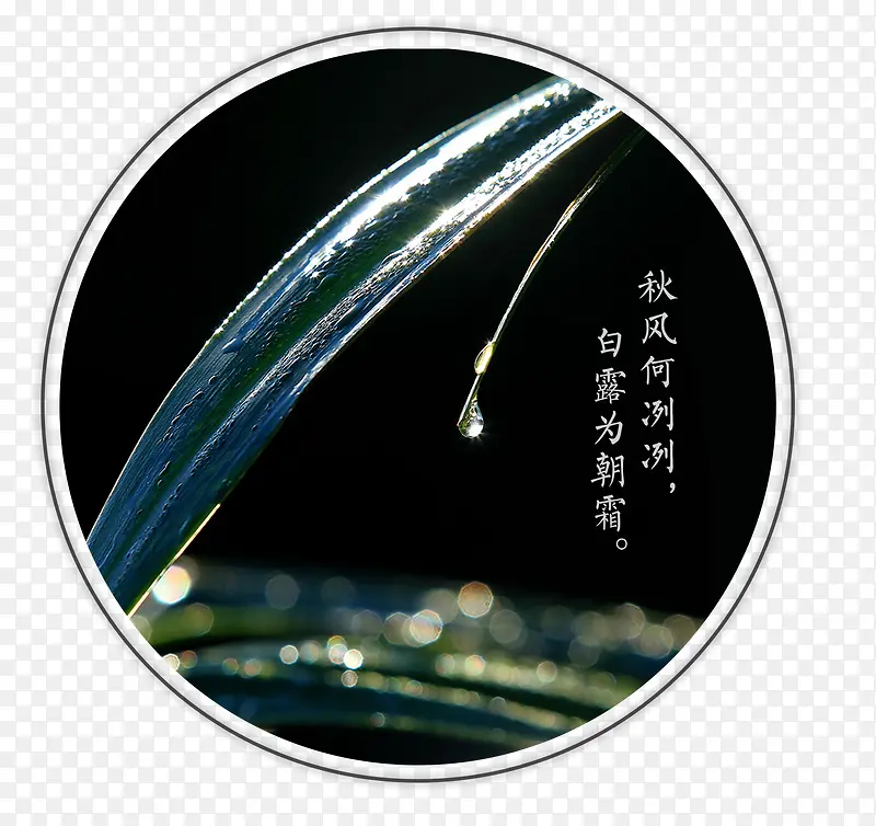 ��¶�廭��Լͼ��-������