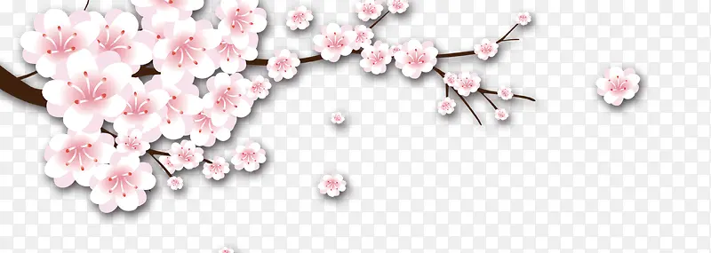 ��ɫ÷��-������