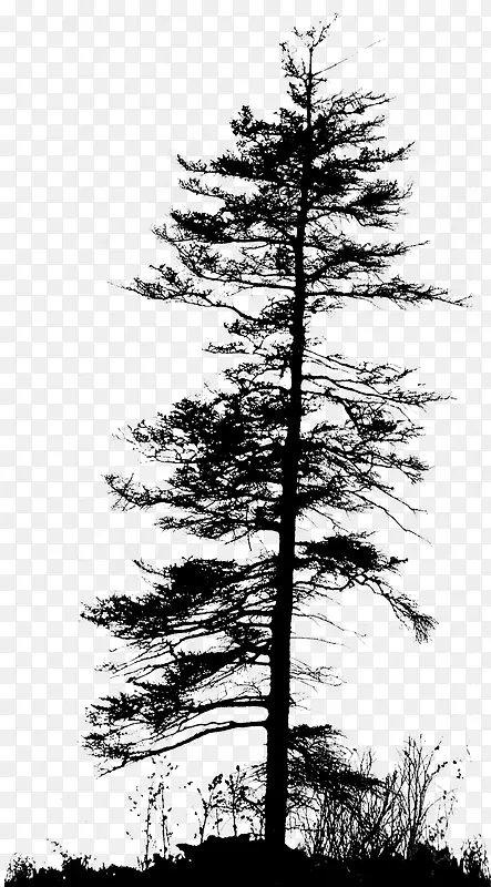 ��ľ��֦PNG�ز�05-������