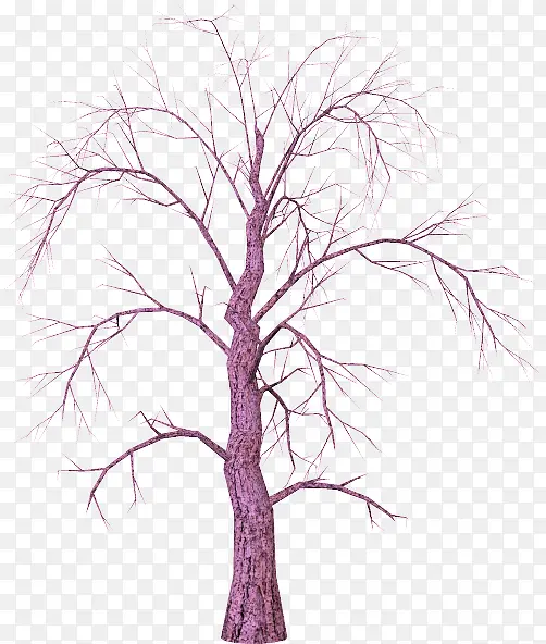 �����ز�-������