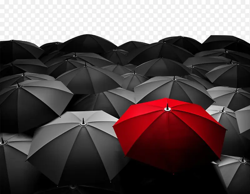 ������ɡͼƬ-������