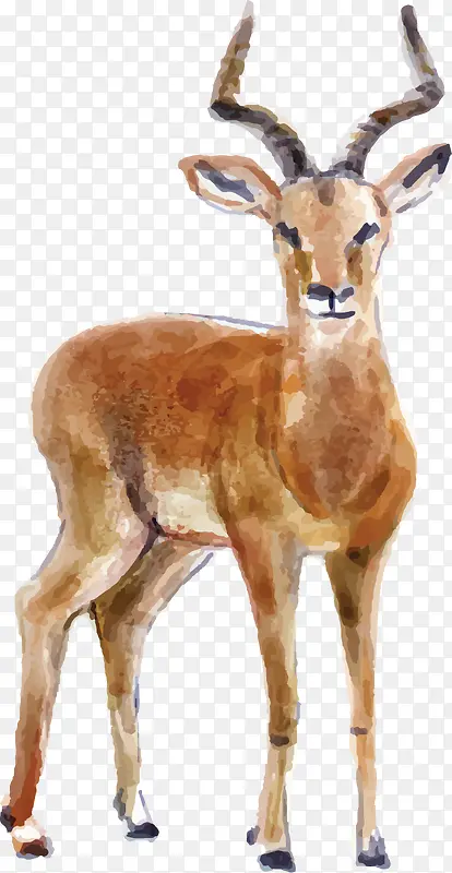 ��ͨɽ��װ��ͼ��-������