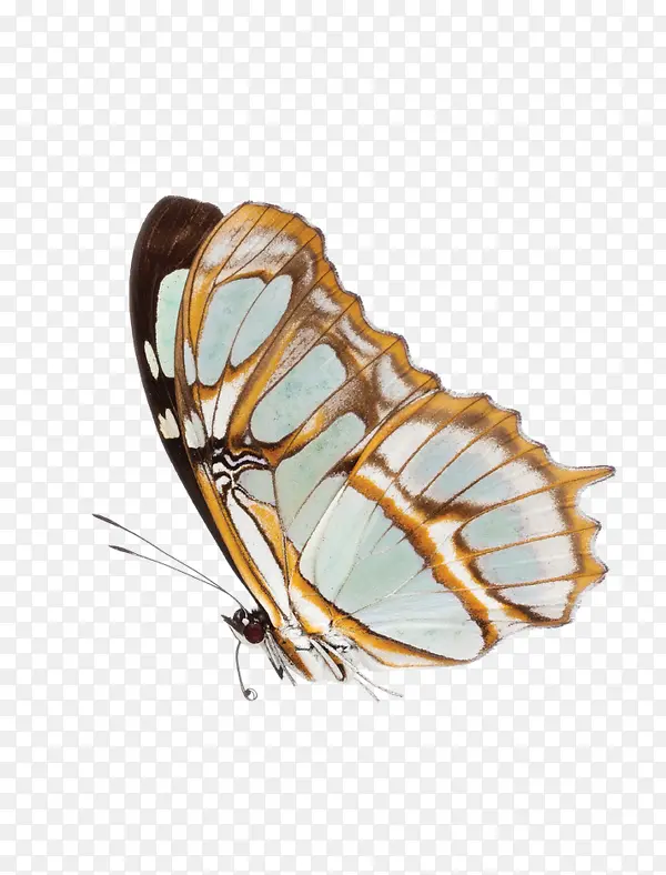 �����ĺ�������-������