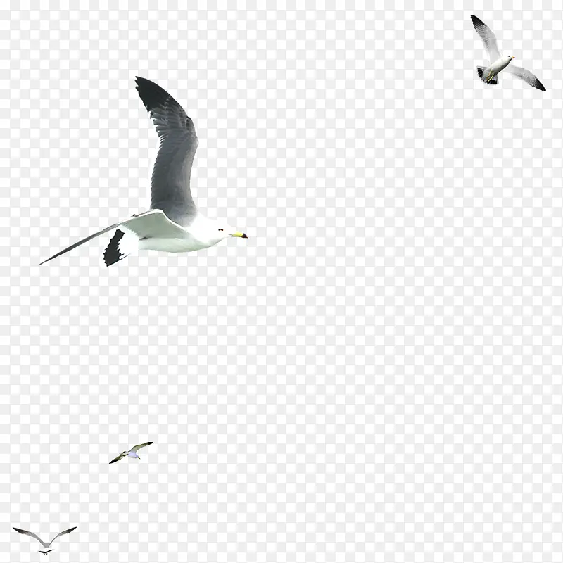 ��Ÿ-������