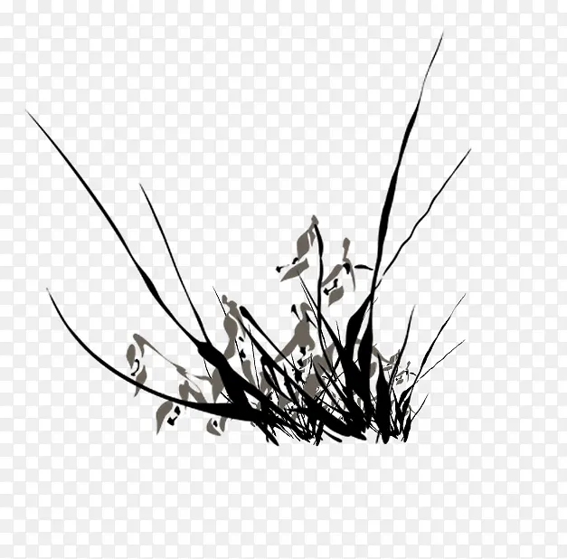 ˮīˮ��-������