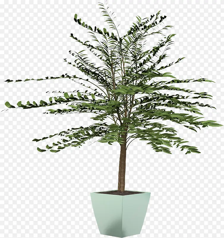 ������ֲ������-������