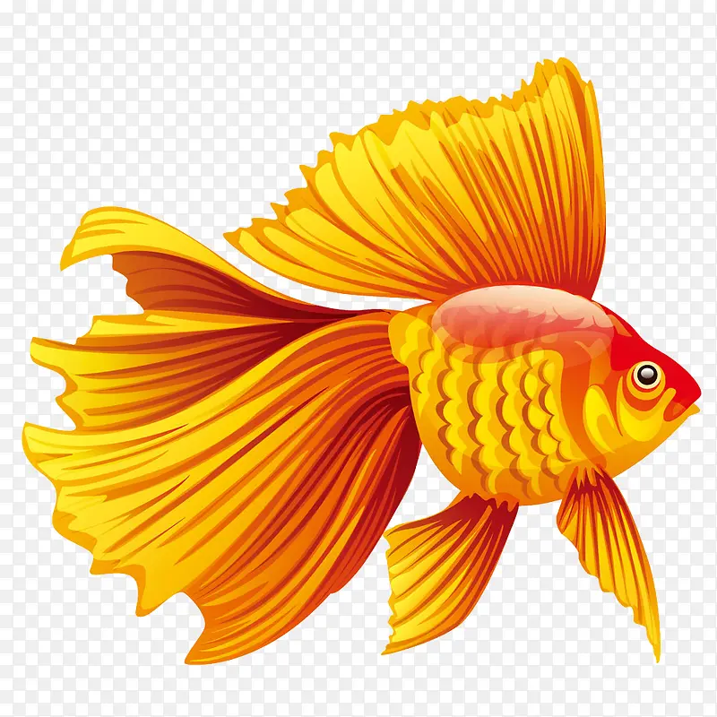 �ֻ����-������