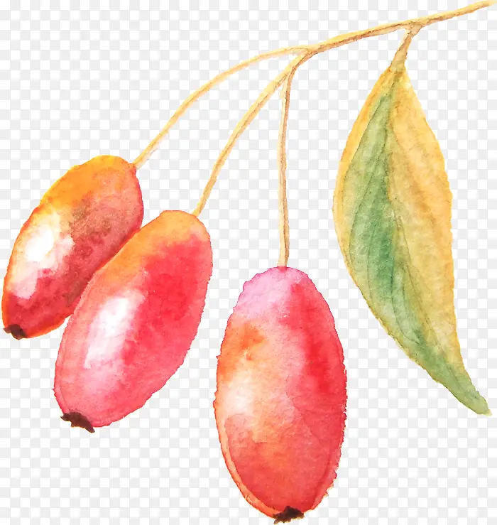 ˮ�ʻ�Ҷ��-������