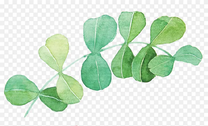 ˮ�ʻ�Ҷ��-������