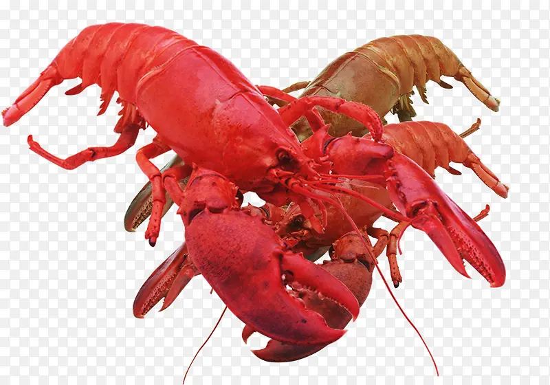 ��ζ�Ĵ���Ϻ�ز�-������