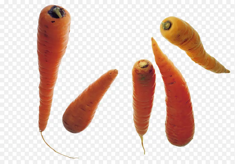 �������ʳ��-������