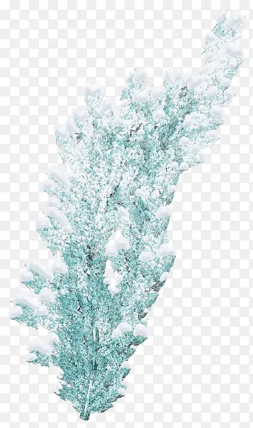 ��ѩ����֦-������