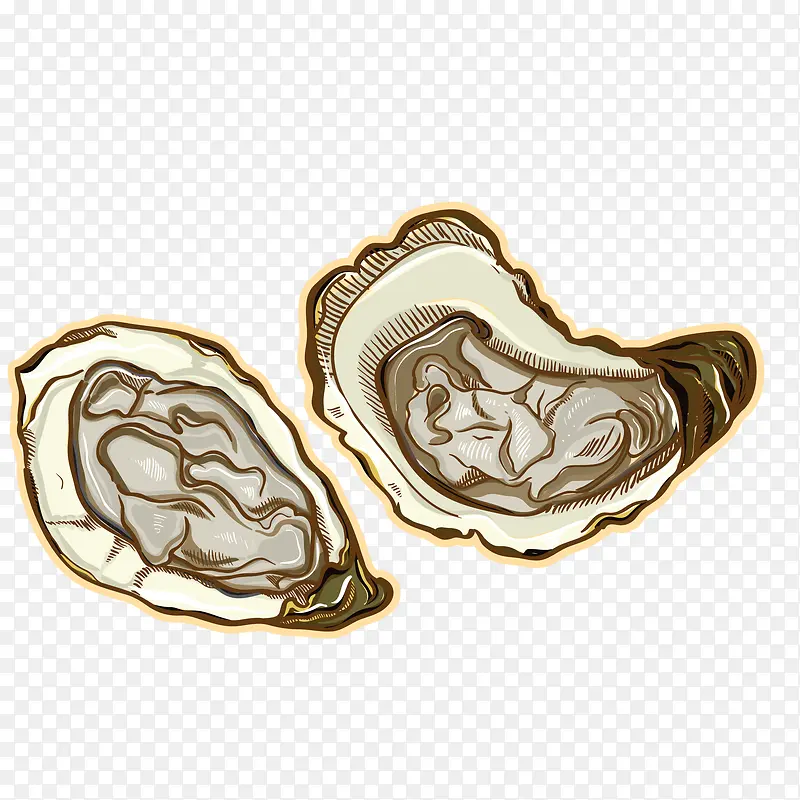 ��ͨ����ʳ�����-������